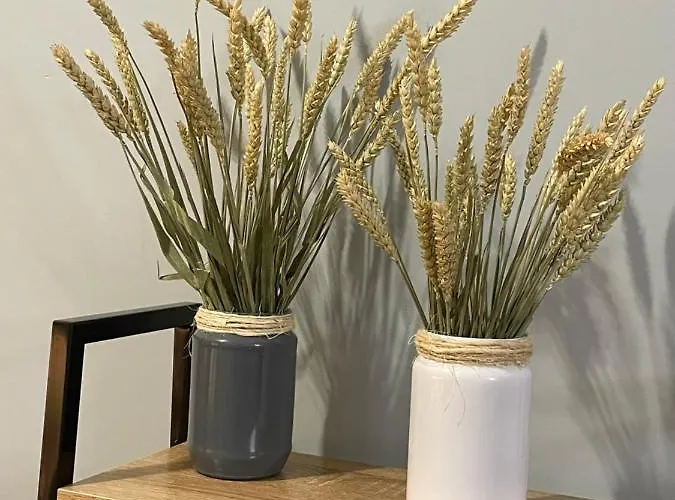 Nemeapolis 3 * Nemea